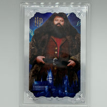 Rubeus Hagrid Harry Potter Agoro 2026 /1500