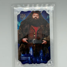 Rubeus Hagrid Harry Potter Agoro 2026 /1500