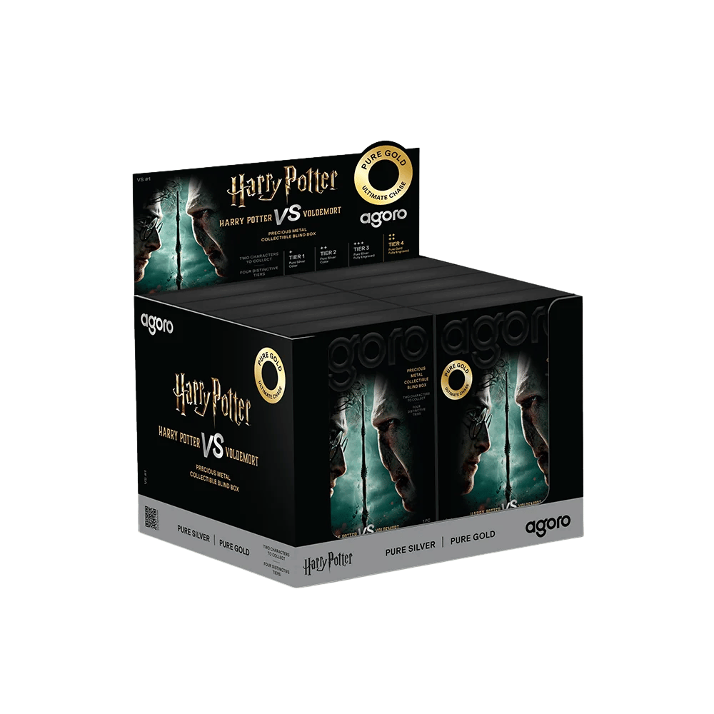 2026 Agoro Harry Potter vs. Voldemort 5g Foil Blind Box